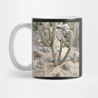 Cacti II Mug